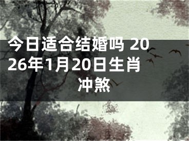今日适合结婚吗 2026年1月20日生肖冲煞