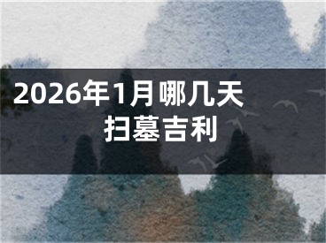 2026年1月哪几天扫墓吉利