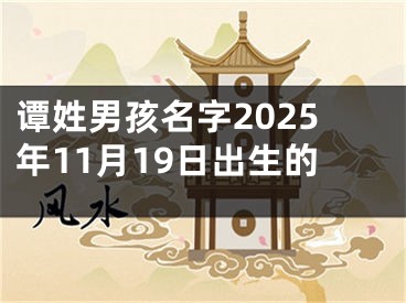 谭姓男孩名字2025年11月19日出生的