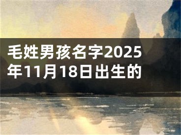 毛姓男孩名字2025年11月18日出生的