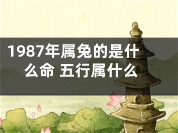 1987年属兔的是什么命 五行属什么