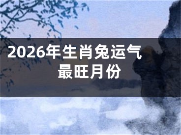 2026年生肖兔运气最旺月份