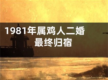 1981年属鸡人二婚最终归宿