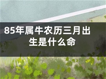 85年属牛农历三月出生是什么命