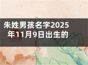 朱姓男孩名字2025年11月9日出生的