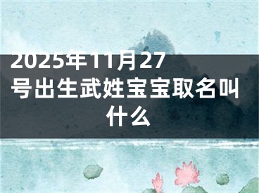 2025年11月27号出生武姓宝宝取名叫什么