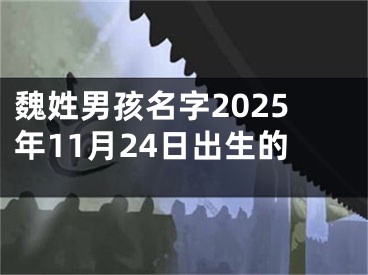 魏姓男孩名字2025年11月24日出生的