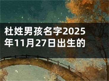 杜姓男孩名字2025年11月27日出生的