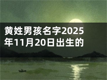 黄姓男孩名字2025年11月20日出生的