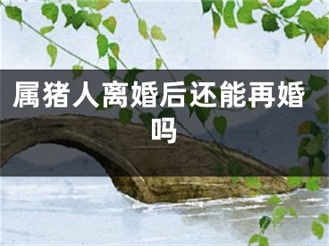 属猪人离婚后还能再婚吗