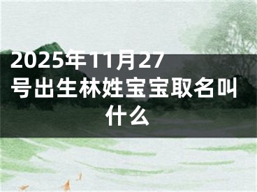 2025年11月27号出生林姓宝宝取名叫什么