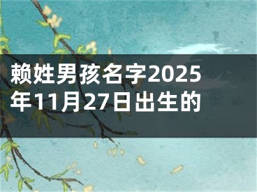 赖姓男孩名字2025年11月27日出生的