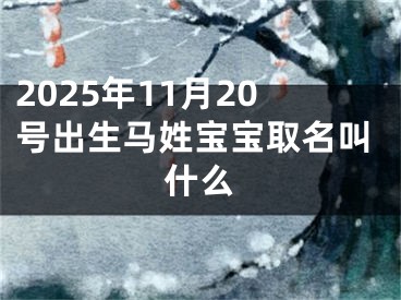 2025年11月20号出生马姓宝宝取名叫什么