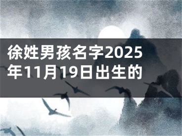 徐姓男孩名字2025年11月19日出生的