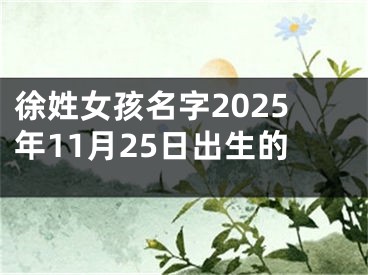 徐姓女孩名字2025年11月25日出生的