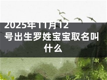 2025年11月12号出生罗姓宝宝取名叫什么