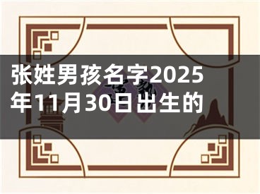 张姓男孩名字2025年11月30日出生的