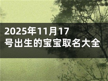 2025年11月17号出生的宝宝取名大全