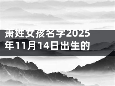 萧姓女孩名字2025年11月14日出生的