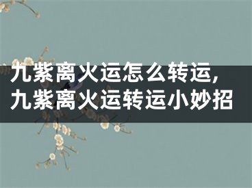 九紫离火运怎么转运,九紫离火运转运小妙招