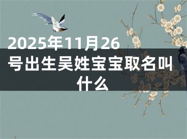 2025年11月26号出生吴姓宝宝取名叫什么