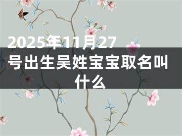 2025年11月27号出生吴姓宝宝取名叫什么