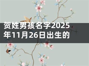 贺姓男孩名字2025年11月26日出生的