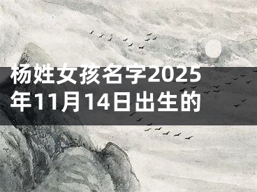 杨姓女孩名字2025年11月14日出生的
