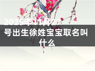 2025年11月27号出生徐姓宝宝取名叫什么
