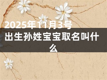 2025年11月3号出生孙姓宝宝取名叫什么