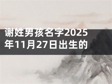 谢姓男孩名字2025年11月27日出生的
