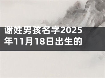 谢姓男孩名字2025年11月18日出生的