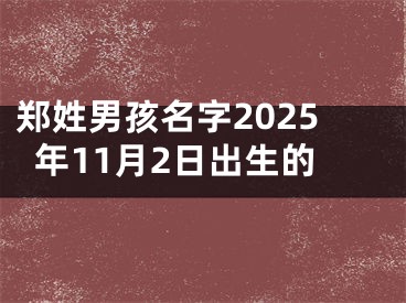 郑姓男孩名字2025年11月2日出生的