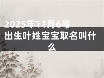 2025年11月6号出生叶姓宝宝取名叫什么