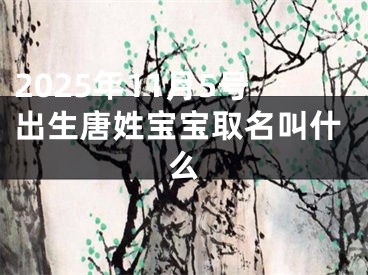 2025年11月5号出生唐姓宝宝取名叫什么