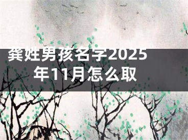 龚姓男孩名字2025年11月怎么取