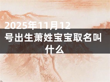 2025年11月12号出生萧姓宝宝取名叫什么