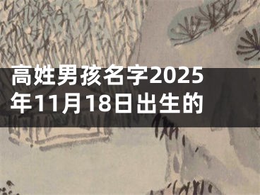 高姓男孩名字2025年11月18日出生的