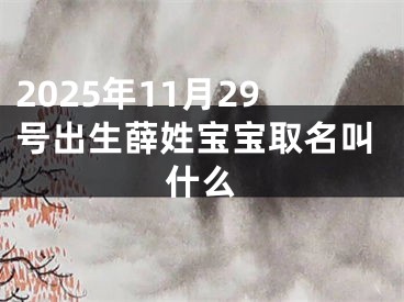 2025年11月29号出生薛姓宝宝取名叫什么