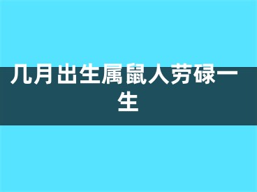 几月出生属鼠人劳碌一生