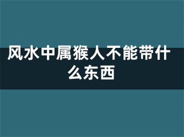 风水中属猴人不能带什么东西