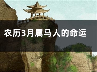 农历3月属马人的命运