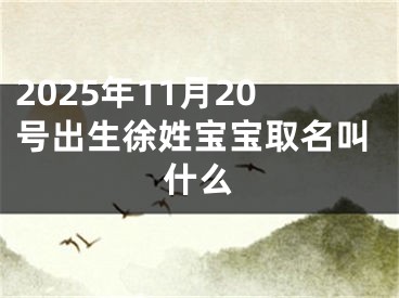 2025年11月20号出生徐姓宝宝取名叫什么