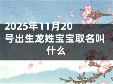 2025年11月20号出生龙姓宝宝取名叫什么