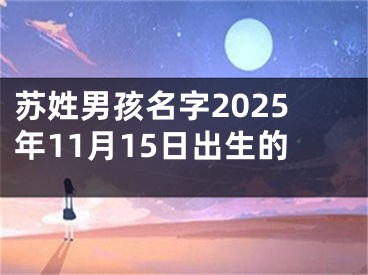 苏姓男孩名字2025年11月15日出生的