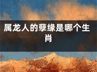 属龙人的孽缘是哪个生肖