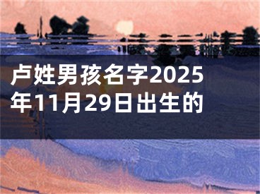 卢姓男孩名字2025年11月29日出生的