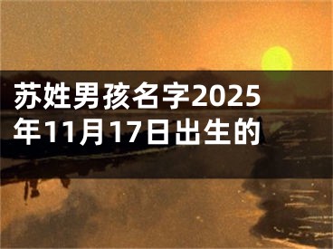 苏姓男孩名字2025年11月17日出生的