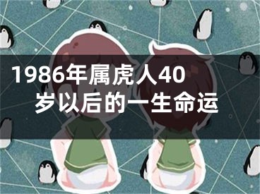 1986年属虎人40岁以后的一生命运