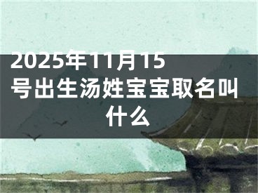 2025年11月15号出生汤姓宝宝取名叫什么